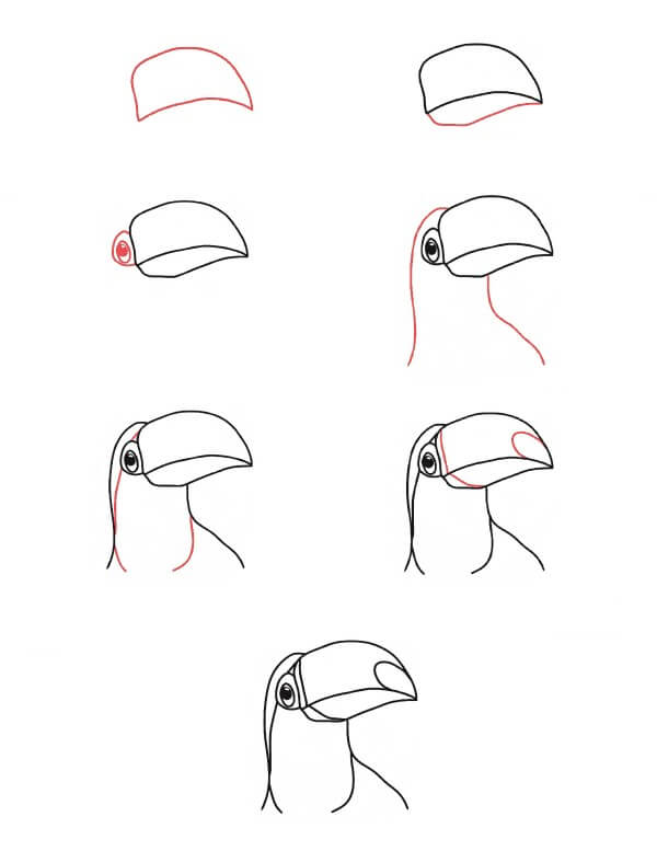 Toucan Head Drawing Ideas