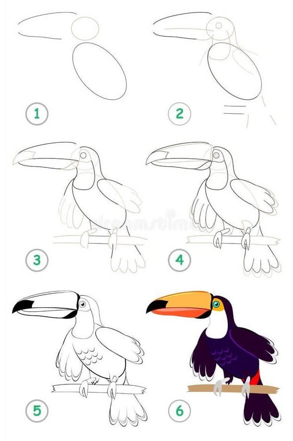 Toucan idea (1) Drawing Ideas