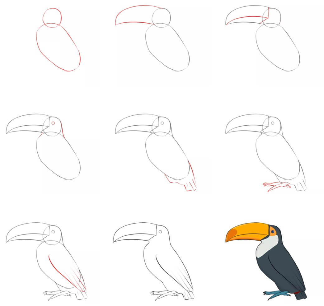 Toucan idea (10) Drawing Ideas