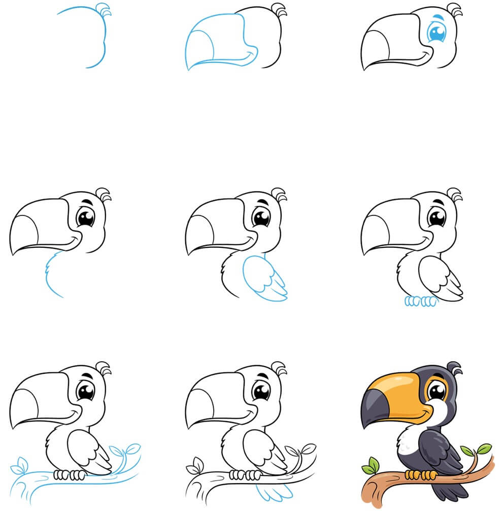 Toucan Drawing Ideas