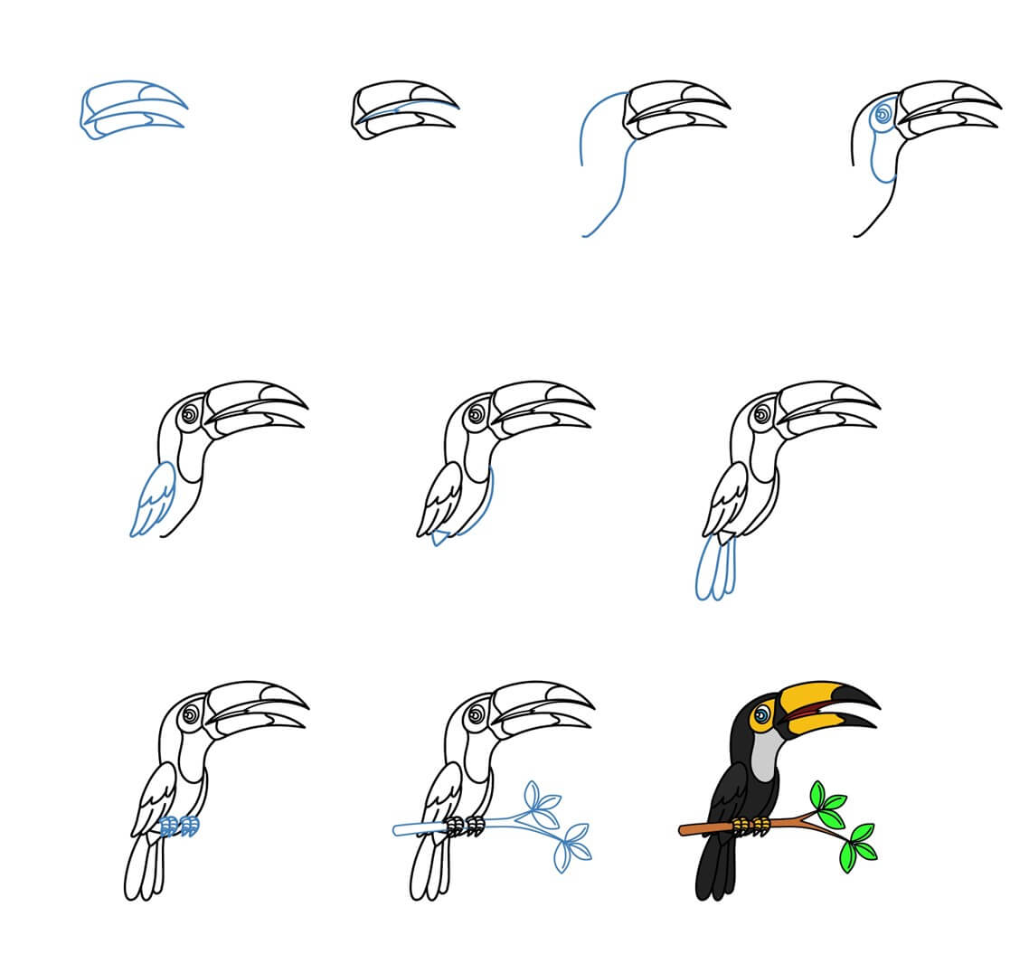 Toucan idea (12) Drawing Ideas