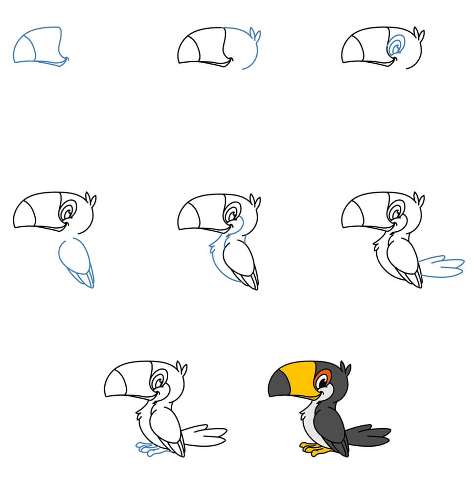 Toucan idea (13) Drawing Ideas