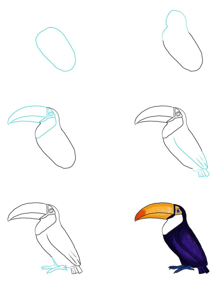 Toucan idea (17) Drawing Ideas