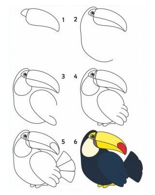 Toucan idea (2) Drawing Ideas