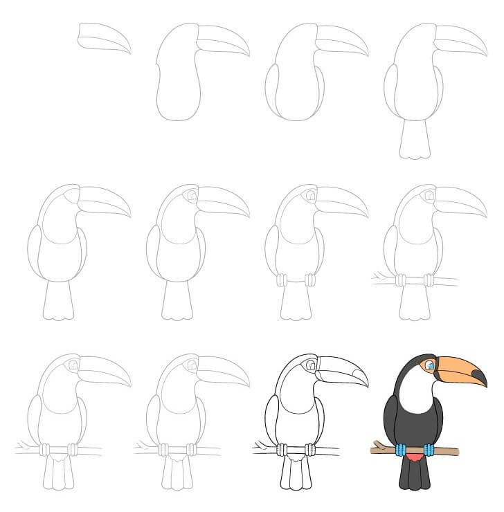 Toucan idea (3) Drawing Ideas