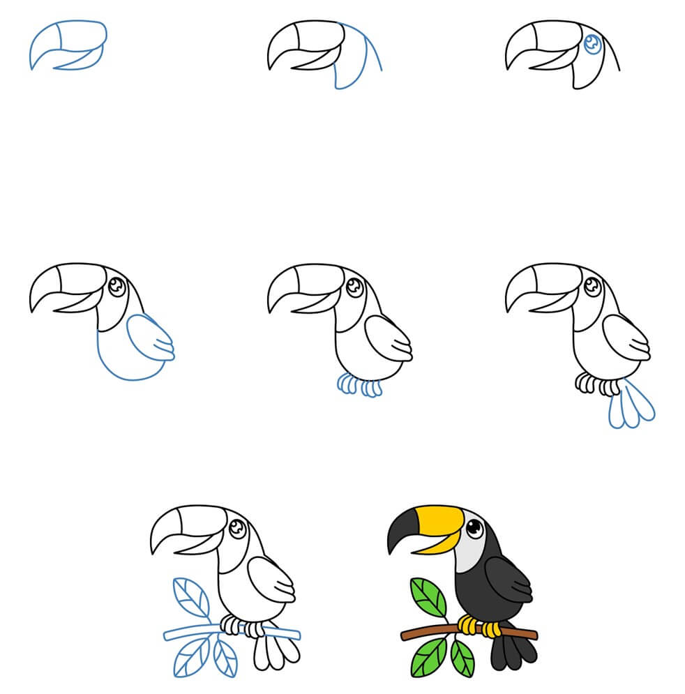 Toucan idea (6) Drawing Ideas