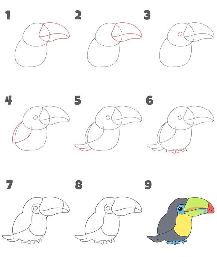 Toucan idea (7) Drawing Ideas