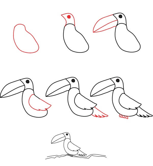 Toucan idea (8) Drawing Ideas