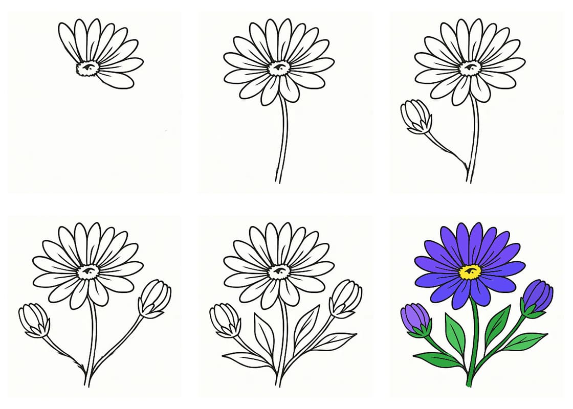Aster Blue Drawing Ideas