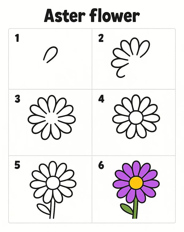 Aster For Kids Drawing Ideas