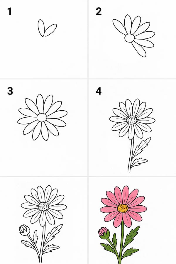 Aster Idea Drawing Ideas