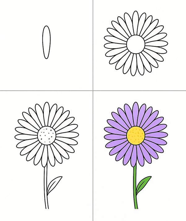 Aster Simple Drawing Ideas