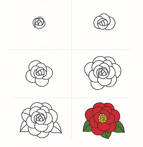 Camellia Drawing Ideas