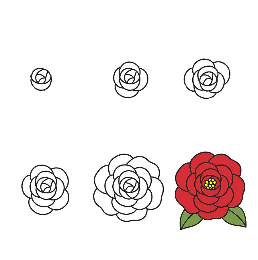 Camellia Gorgeous Drawing Ideas