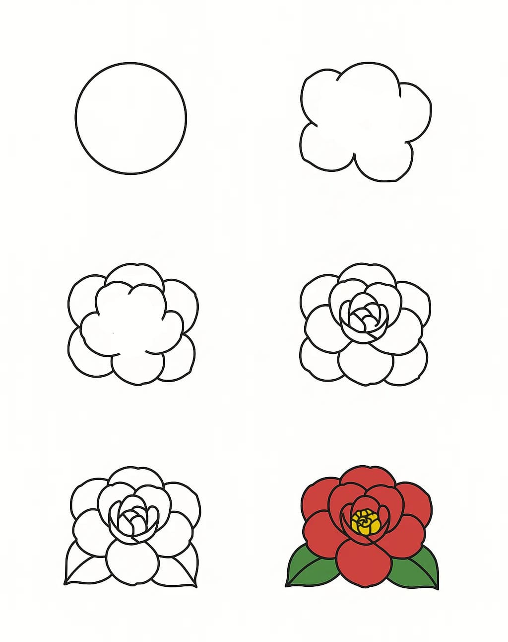 Camellia Photo Drawing Ideas