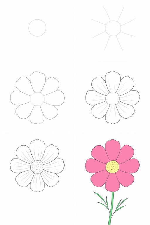 Cosmos Flower Drawing Ideas