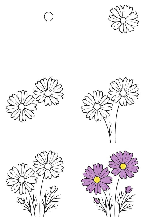 Cosmos Idea Drawing Ideas