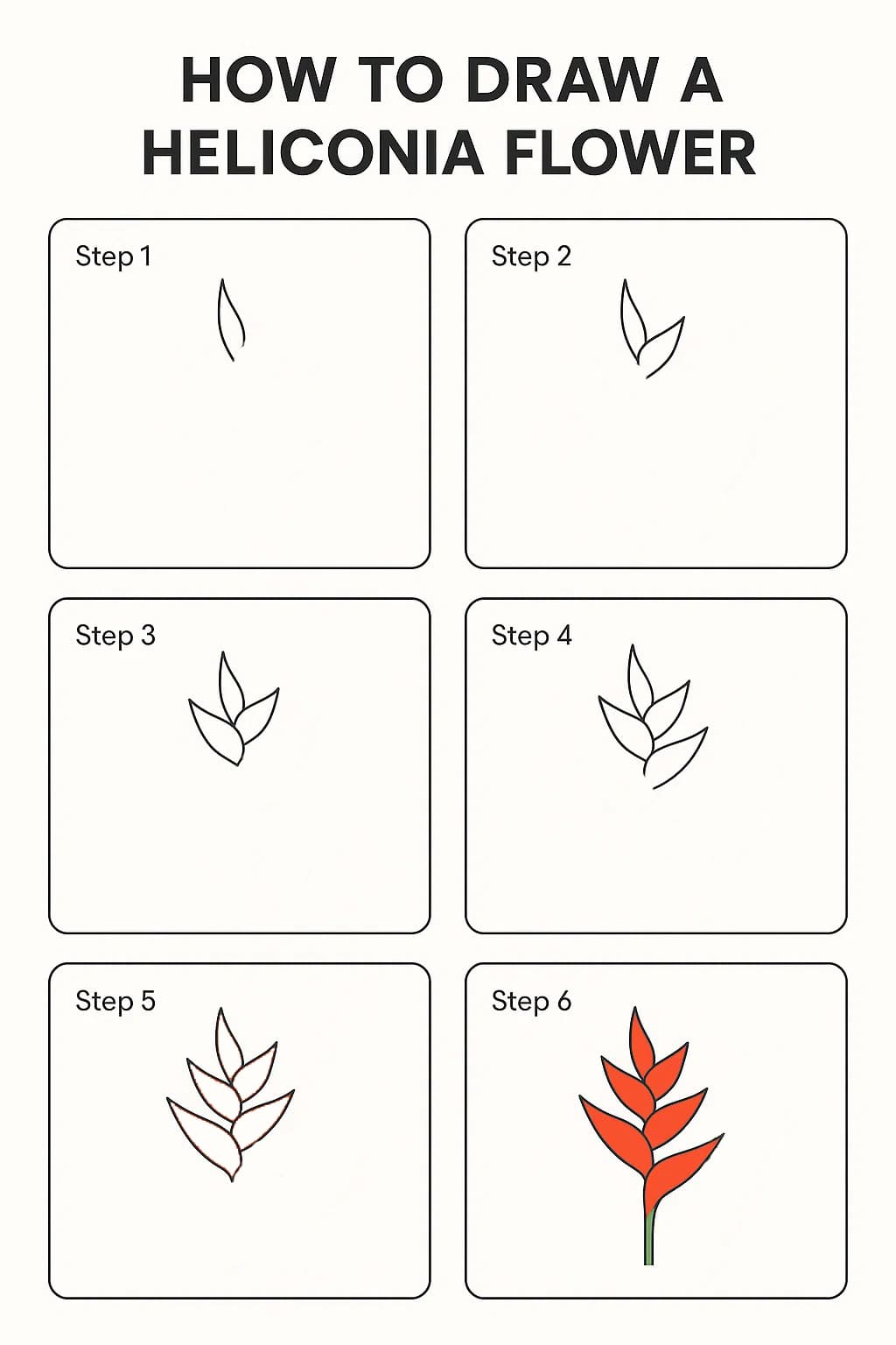 Heliconia Drawing Drawing Ideas