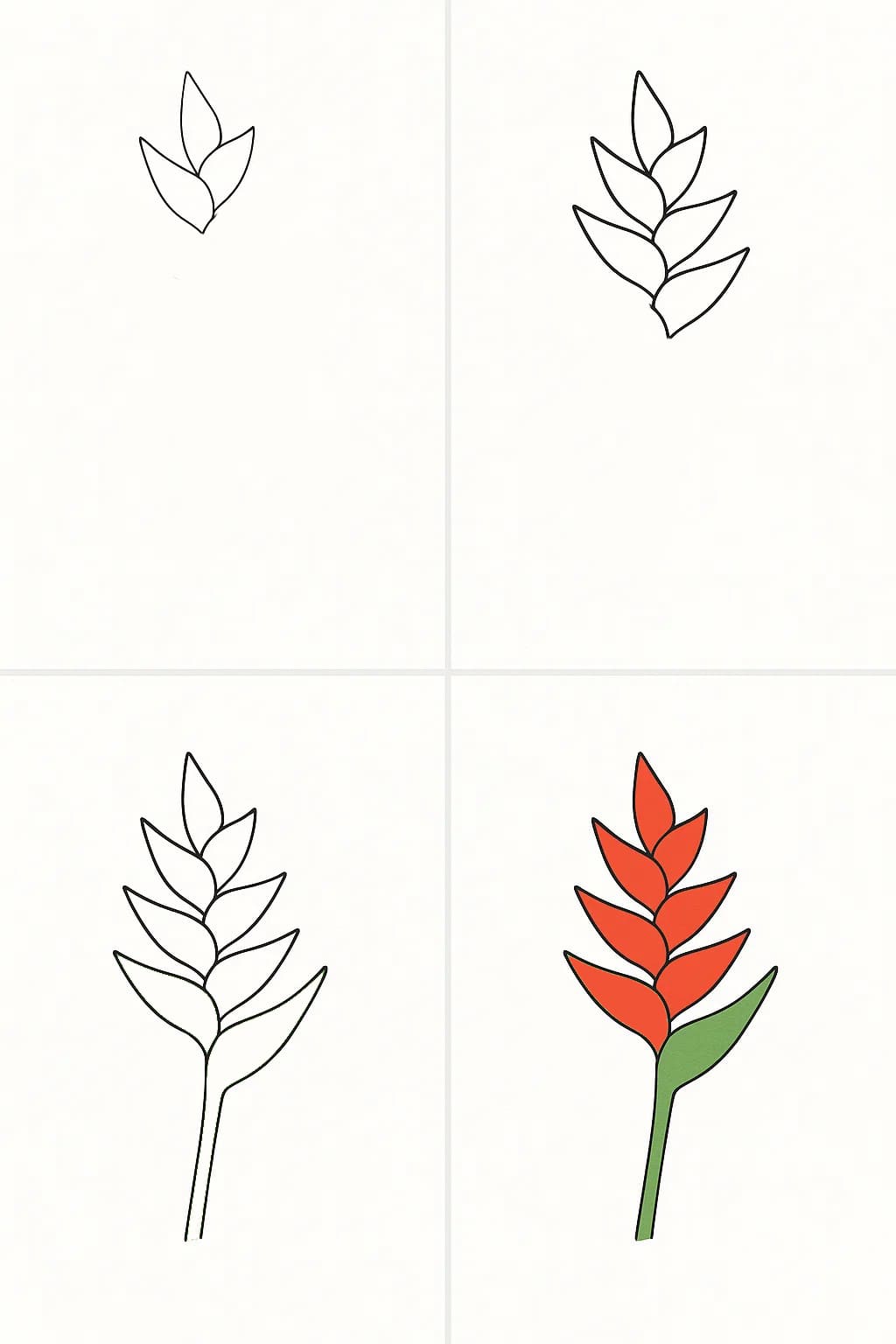Heliconia Easy Drawing Ideas