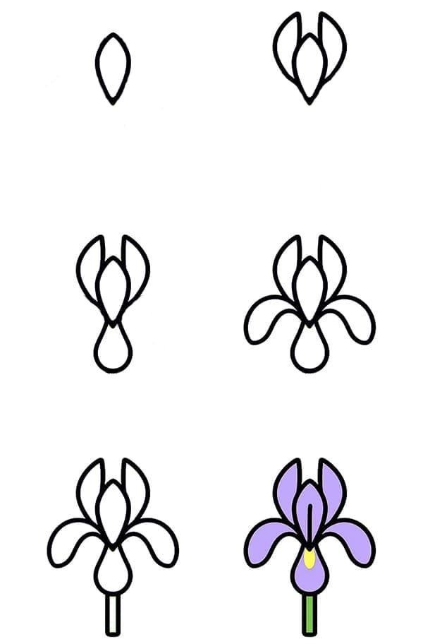 Iris Cartoon Drawing Ideas