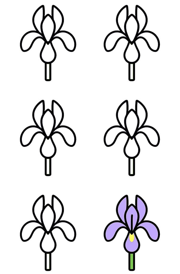How to draw Iris Cartoon