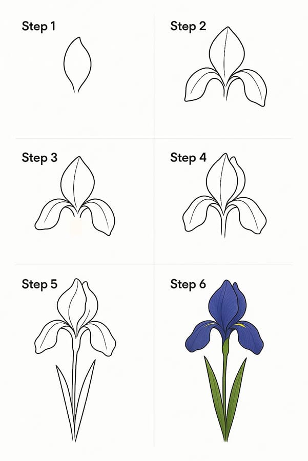 Iris Easy Drawing Ideas