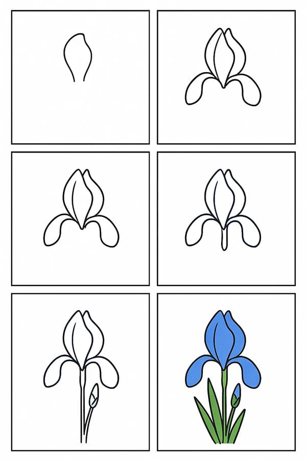 Iris For Kids Drawing Ideas