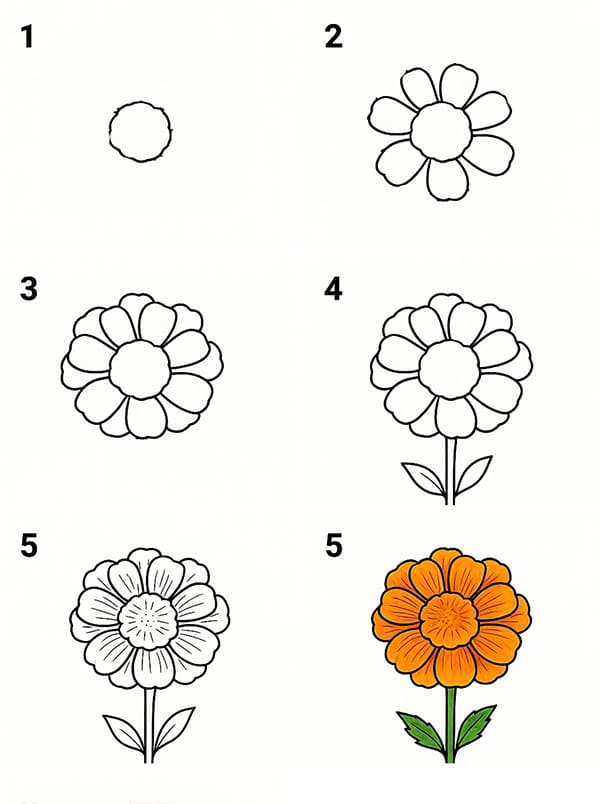 Marigold Easy Drawing Ideas