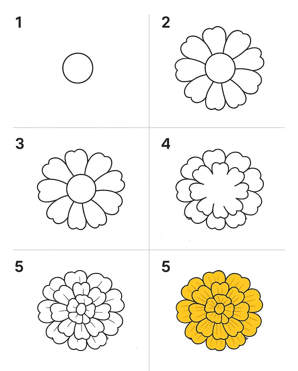 Marigold Simple Drawing Ideas