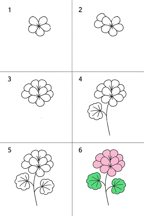Simple Geranium Drawing Ideas