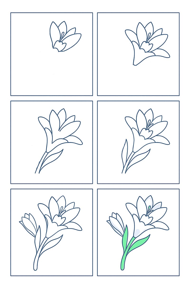 Tuberose Simple Drawing Ideas