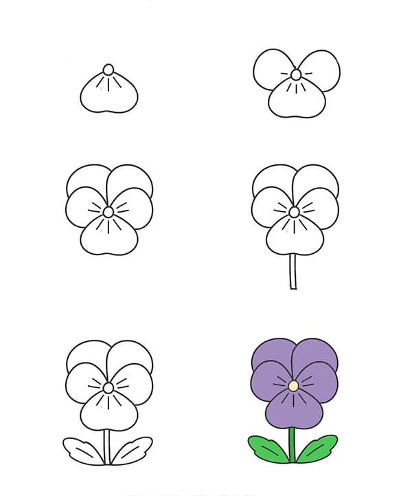 Violet Easy Drawing Ideas