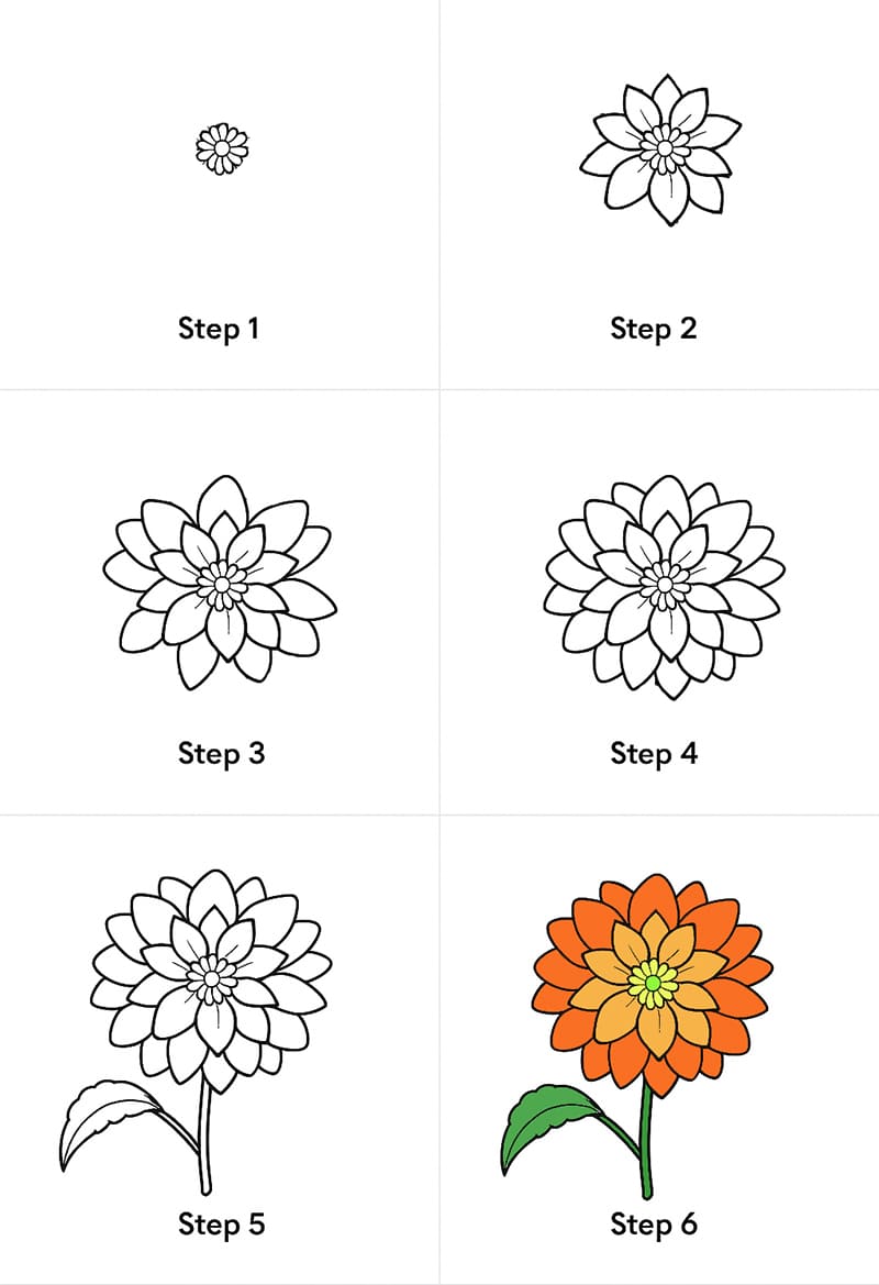 Zinnia Drawing Drawing Ideas