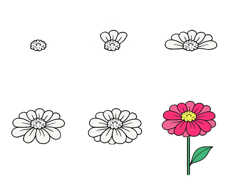 Zinnia For Kid Drawing Ideas