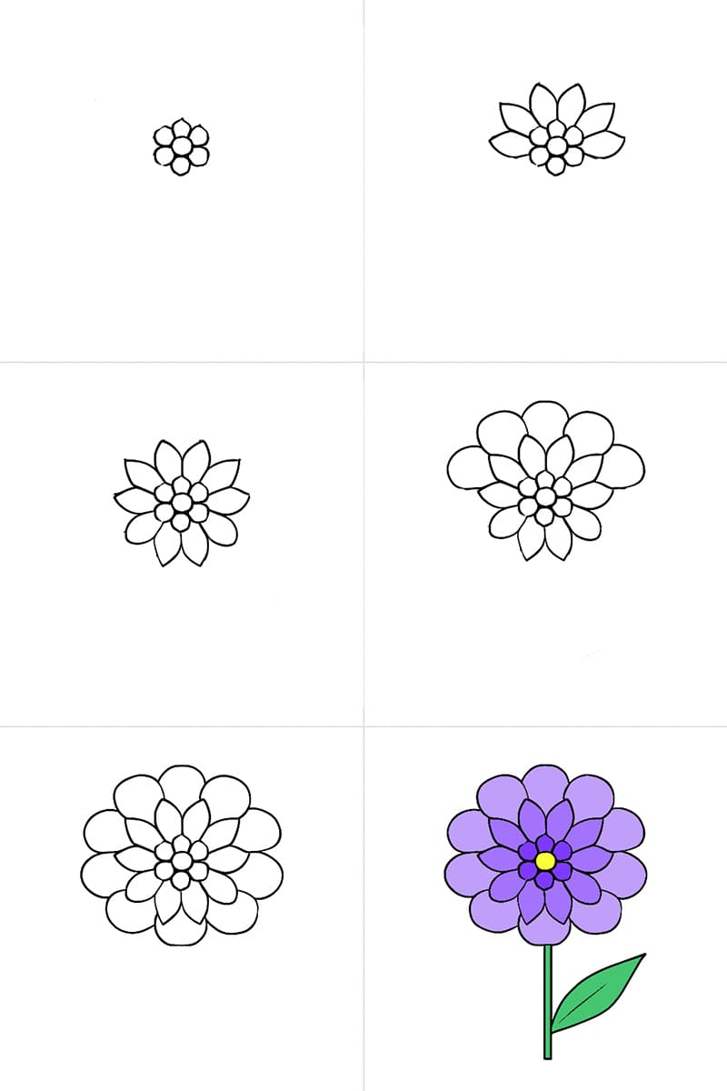 Zinnia For Kids Drawing Ideas