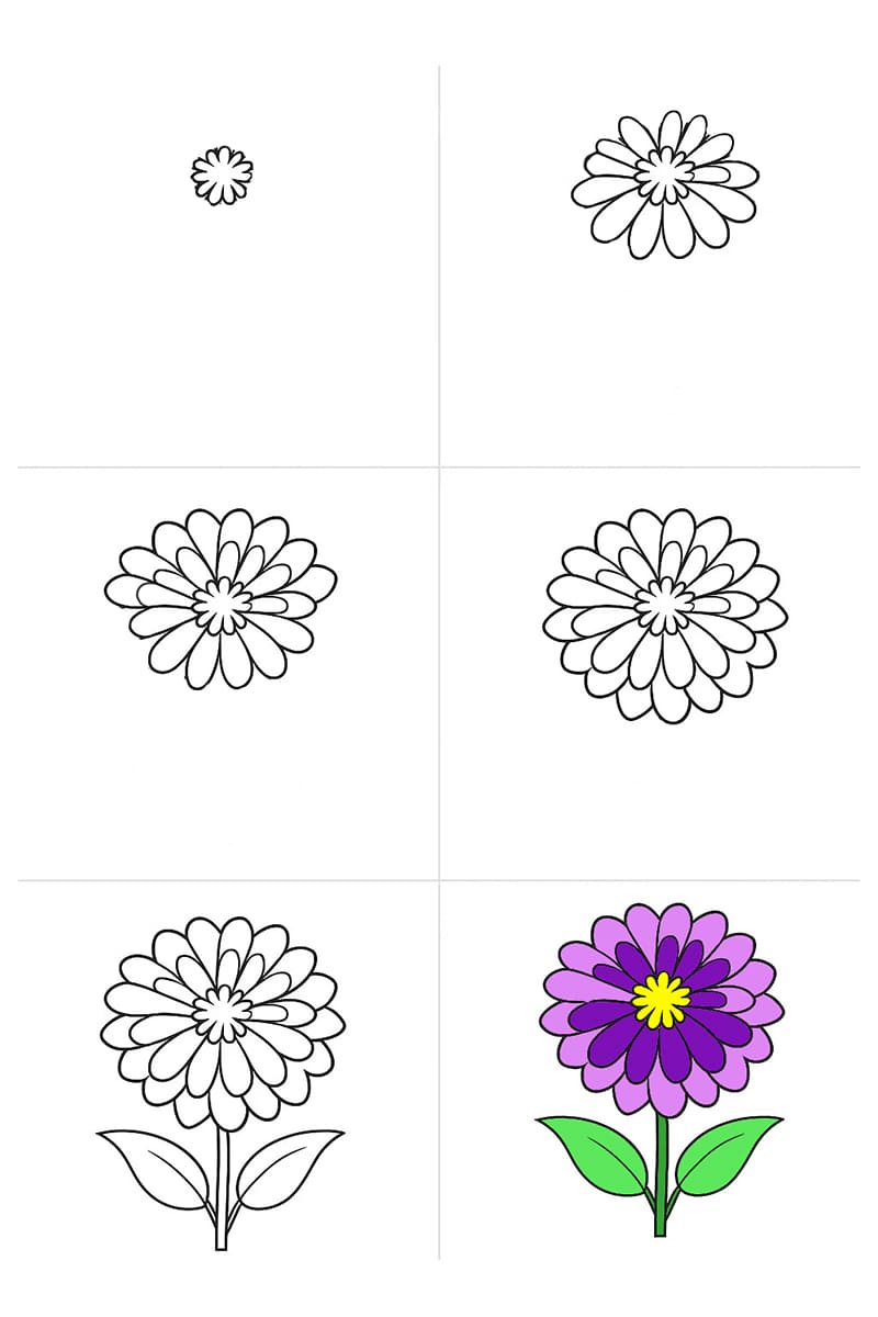 Zinnia Image Drawing Ideas