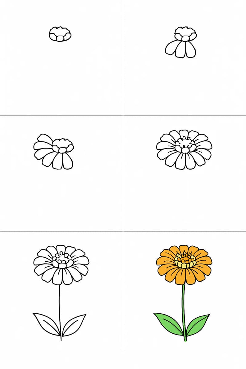 Zinnia Simple Drawing Ideas