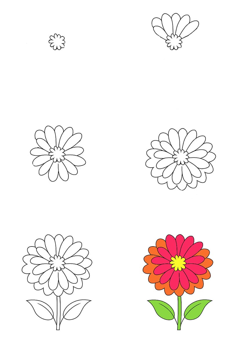 Zinnia Vibran Drawing Ideas