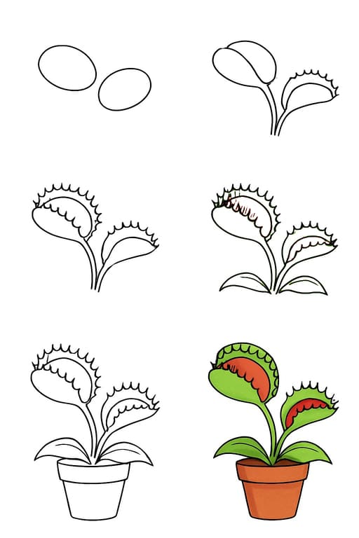 A Venus Flytrap Pot Drawing Ideas