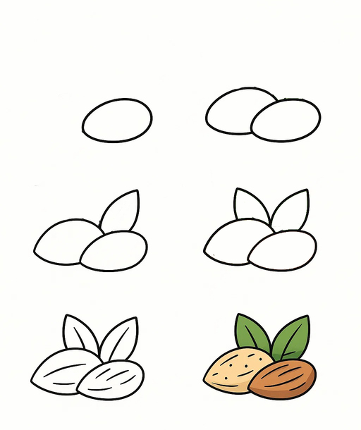 Almond Nuts Drawing Ideas