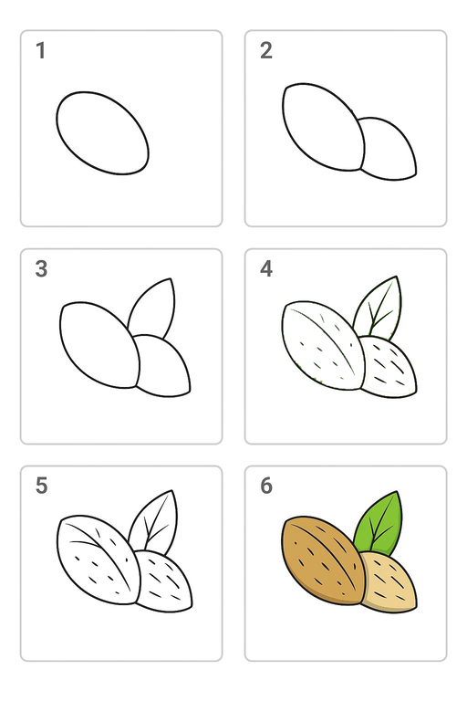 Cartoon Almond Drawing Ideas
