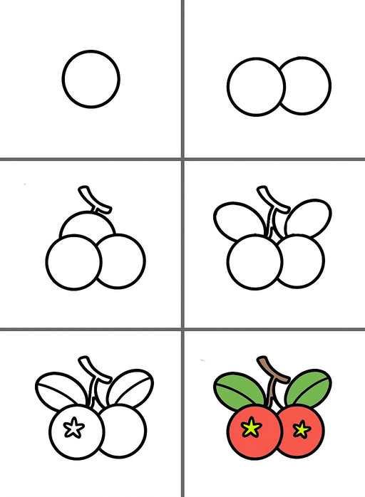 Cranberry Fruit Drawing Ideas