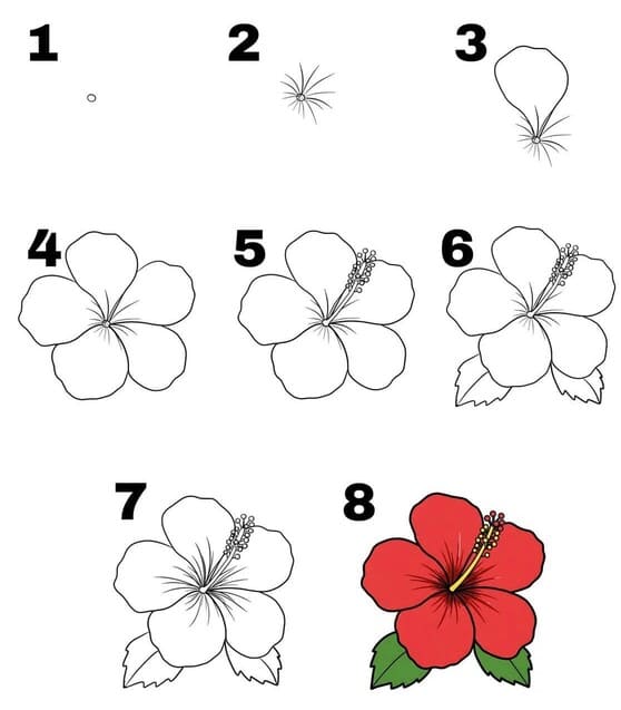 Easy Hibiscus Drawing Ideas