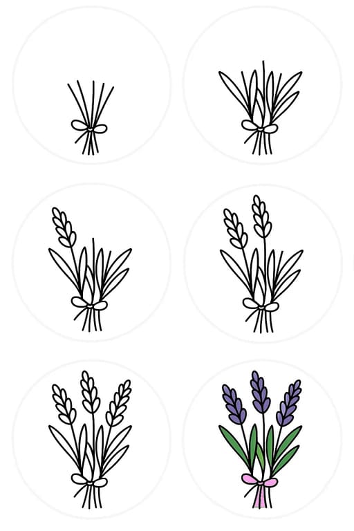 Lavender Bouquet Drawing Ideas