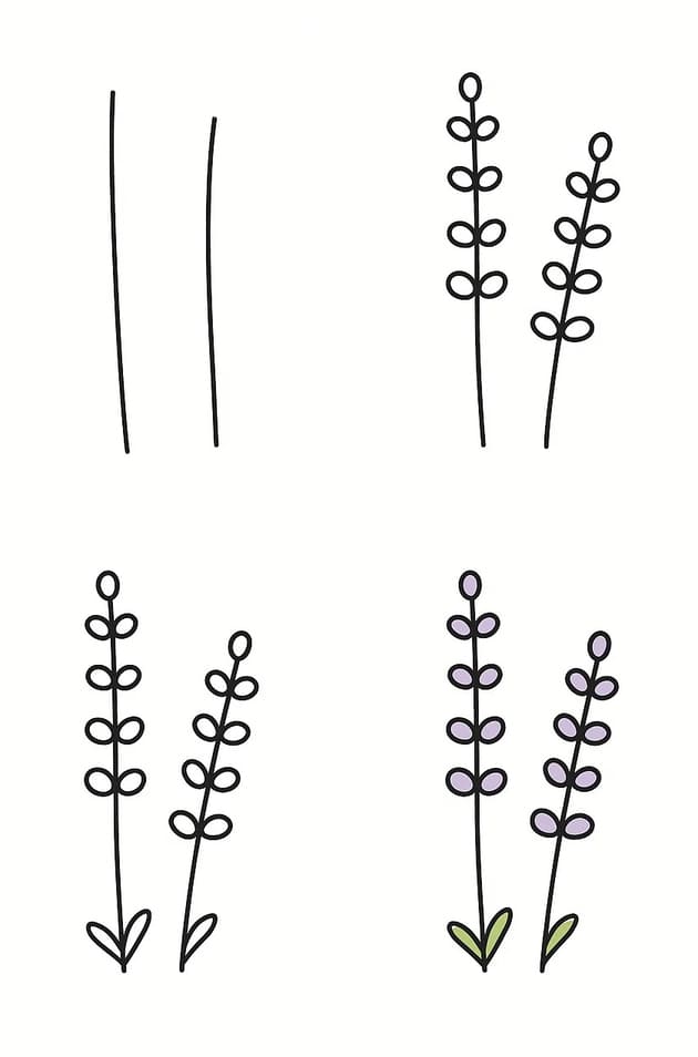 Lavender For Kids Drawing Ideas
