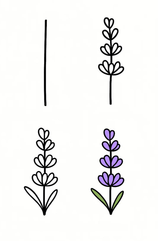 Lavender Idea 2 Drawing Ideas