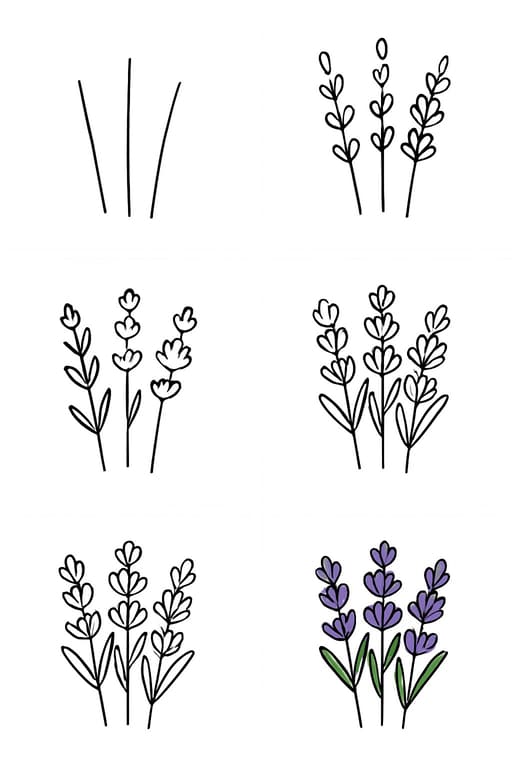 Lavender Idea 3 Drawing Ideas