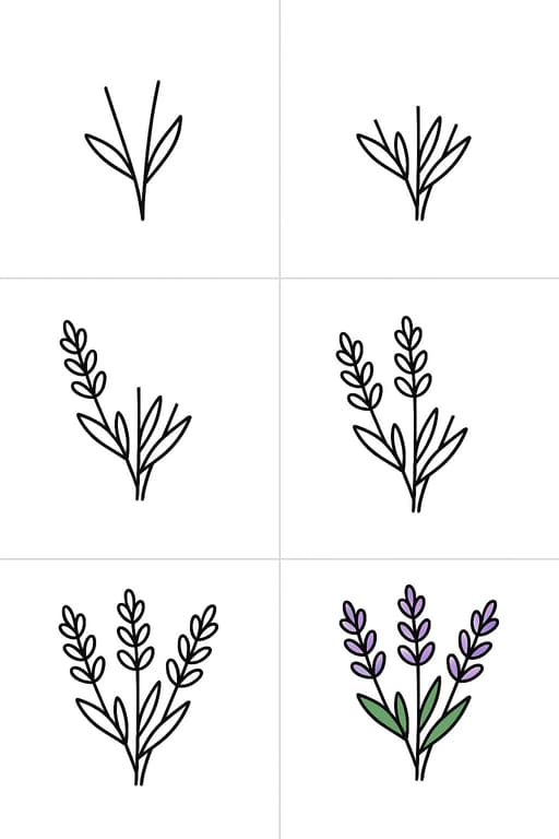 Lavender Idea 5 Drawing Ideas