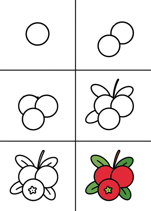 Nice Cranberries Drawing Ideas