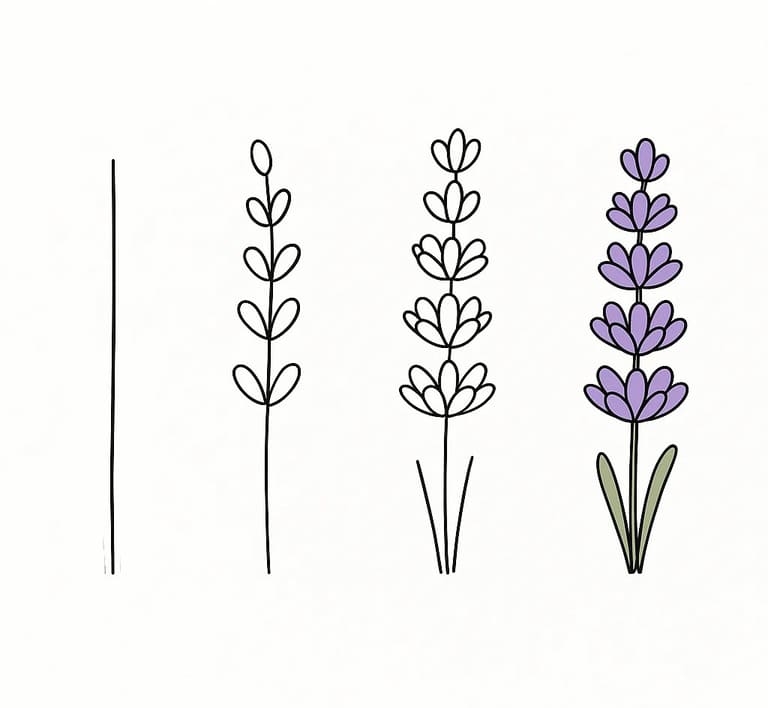 Purple Lavender Drawing Ideas